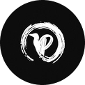 Ellipse 10